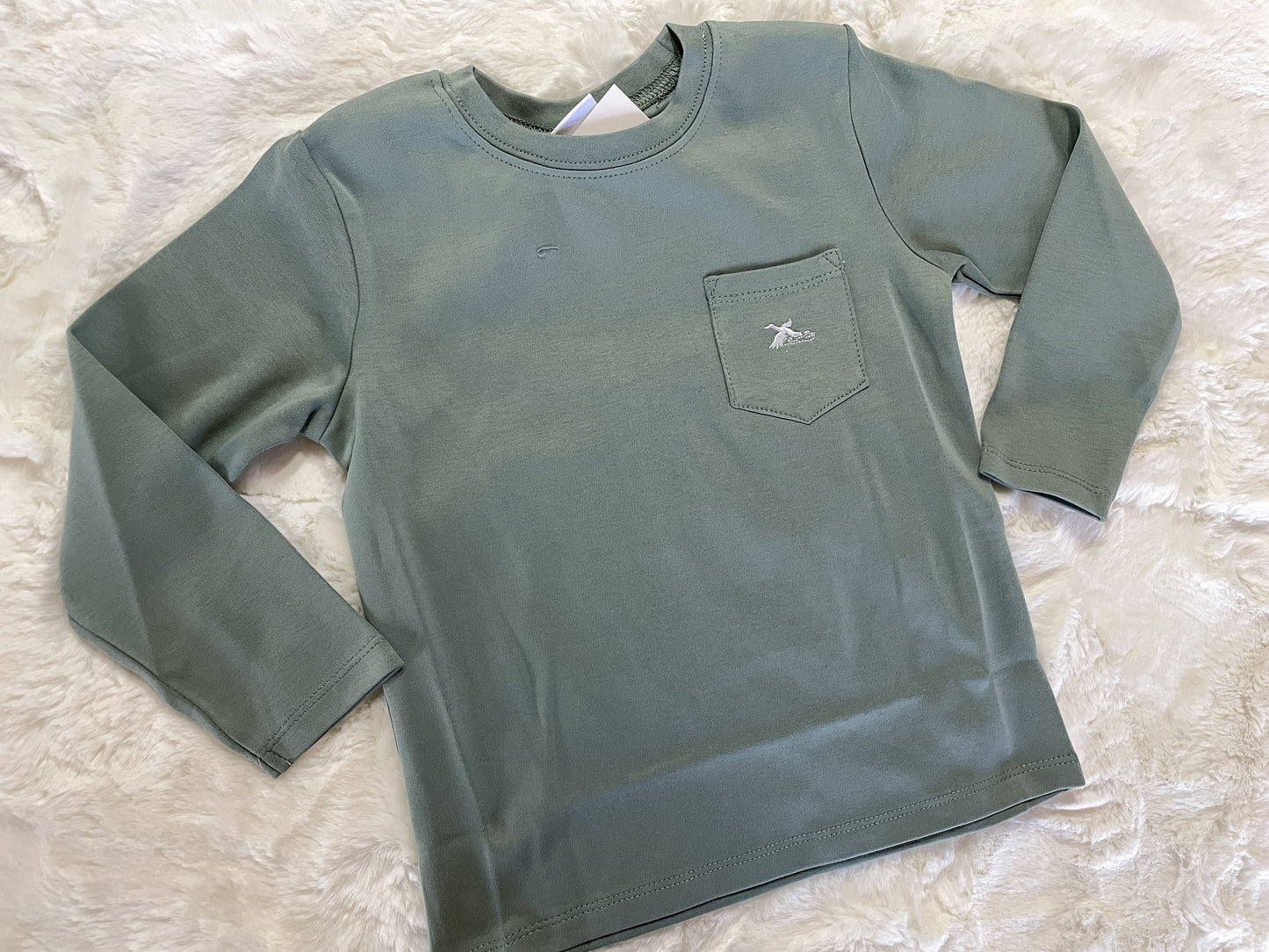 Pima Cotton Shirts