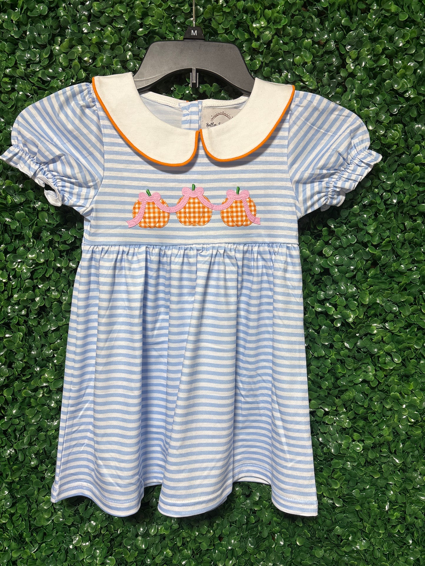 Little Pumpkin Blossom Collection