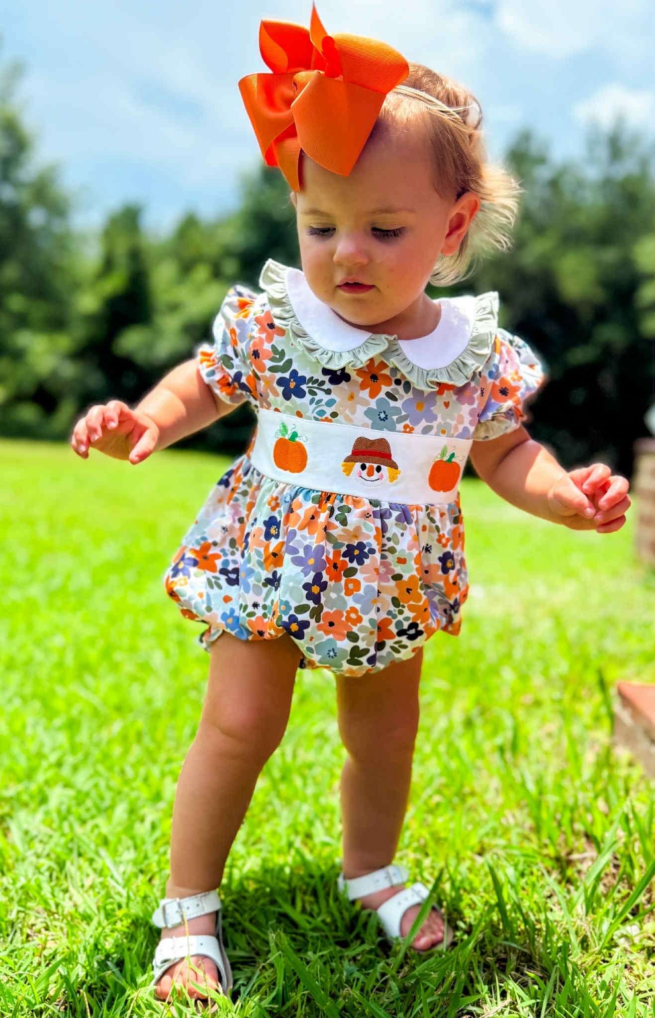 Scarecrow & Pumpkins Sibling Collection