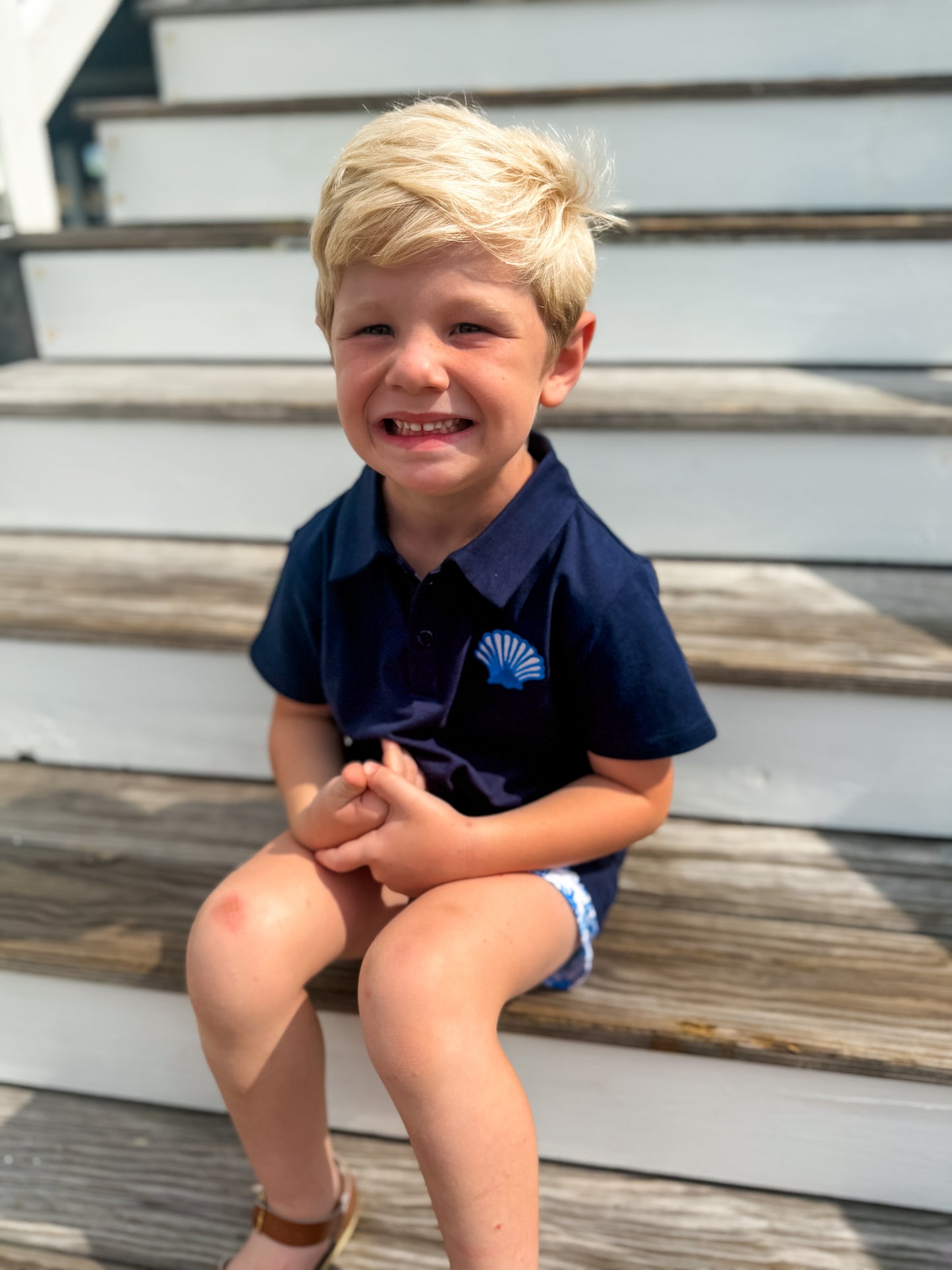 Preppy Coastal Shells Collection