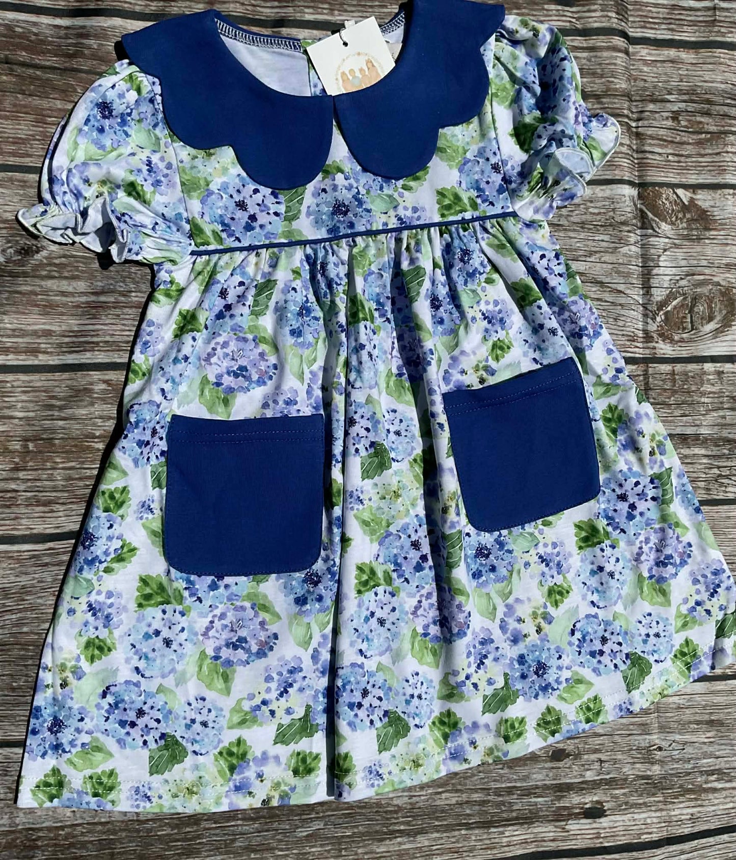 Hydrangea Blues Sister Collection