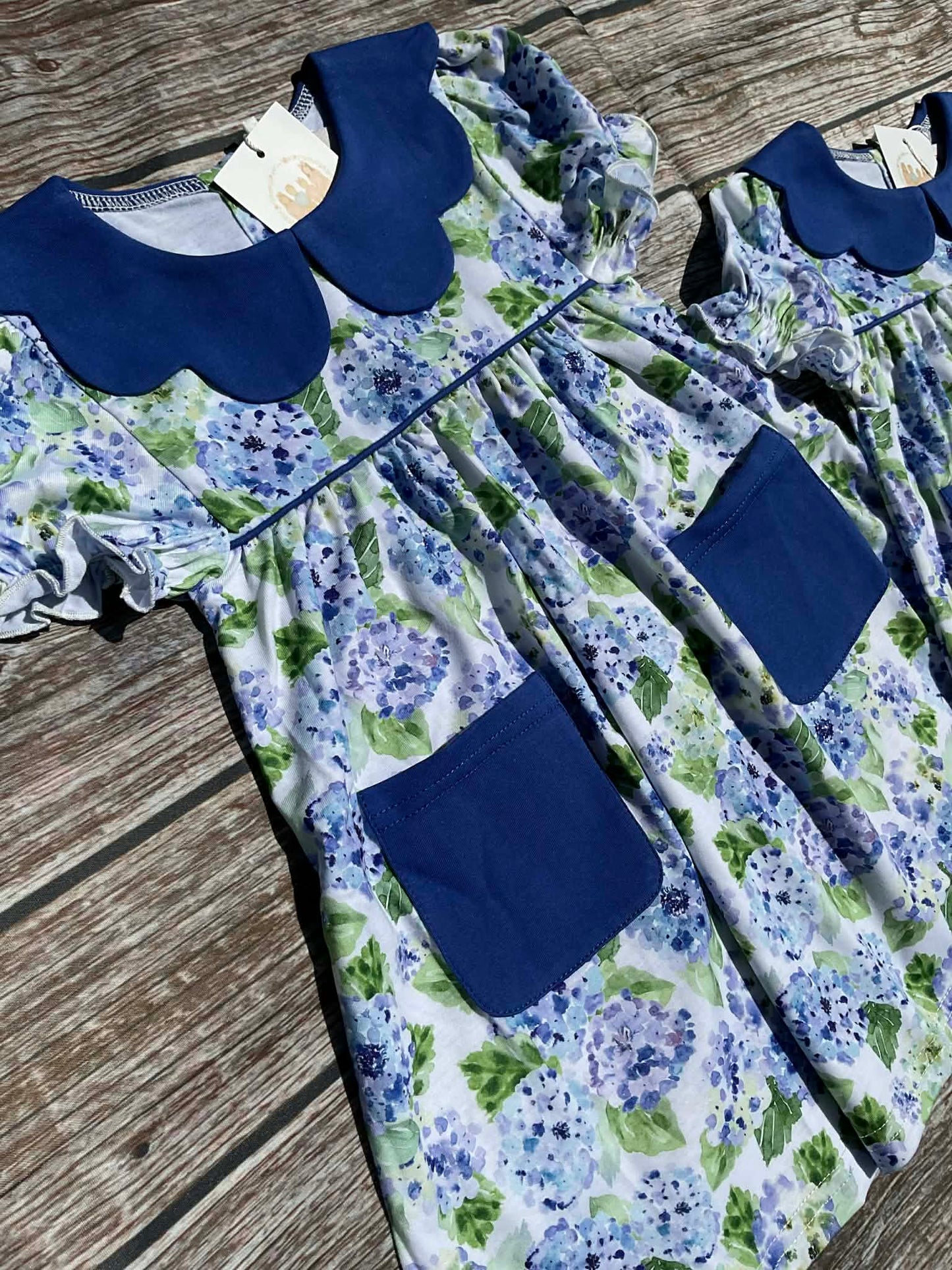 Hydrangea Blues Sister Collection