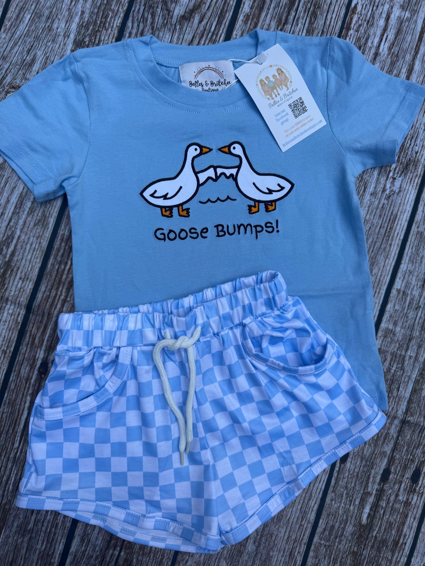 Oh My Goose Bumps Sibling Matching Short Sets