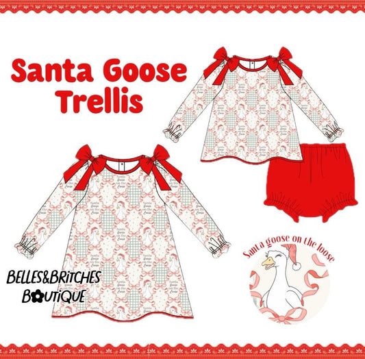 WS PO#39 Santa Goose Trellis ETA Early November to B&BB